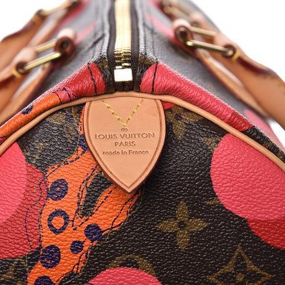 Louis Vuitton Monogram Ramages Speedy 30 Grenade 7 of 7