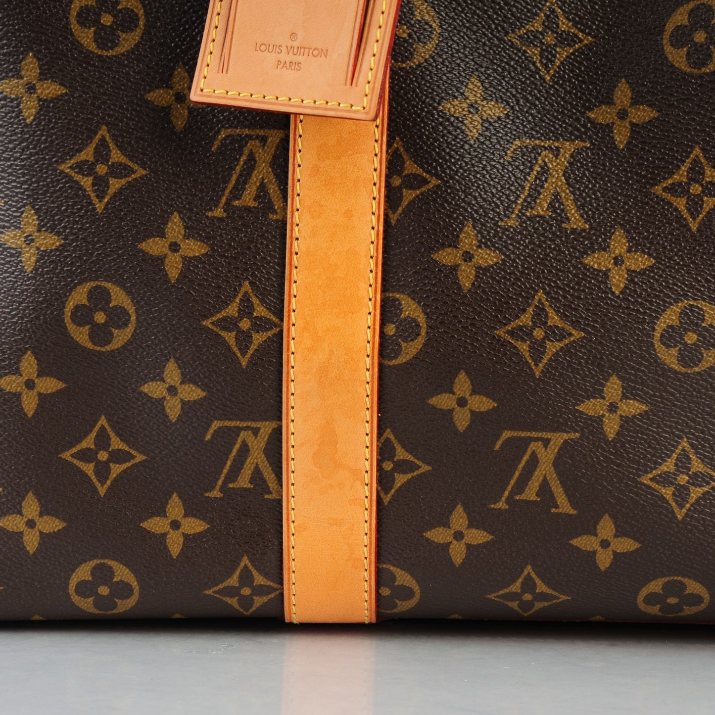 Monogram Sac Chien 50 Pet Carrier