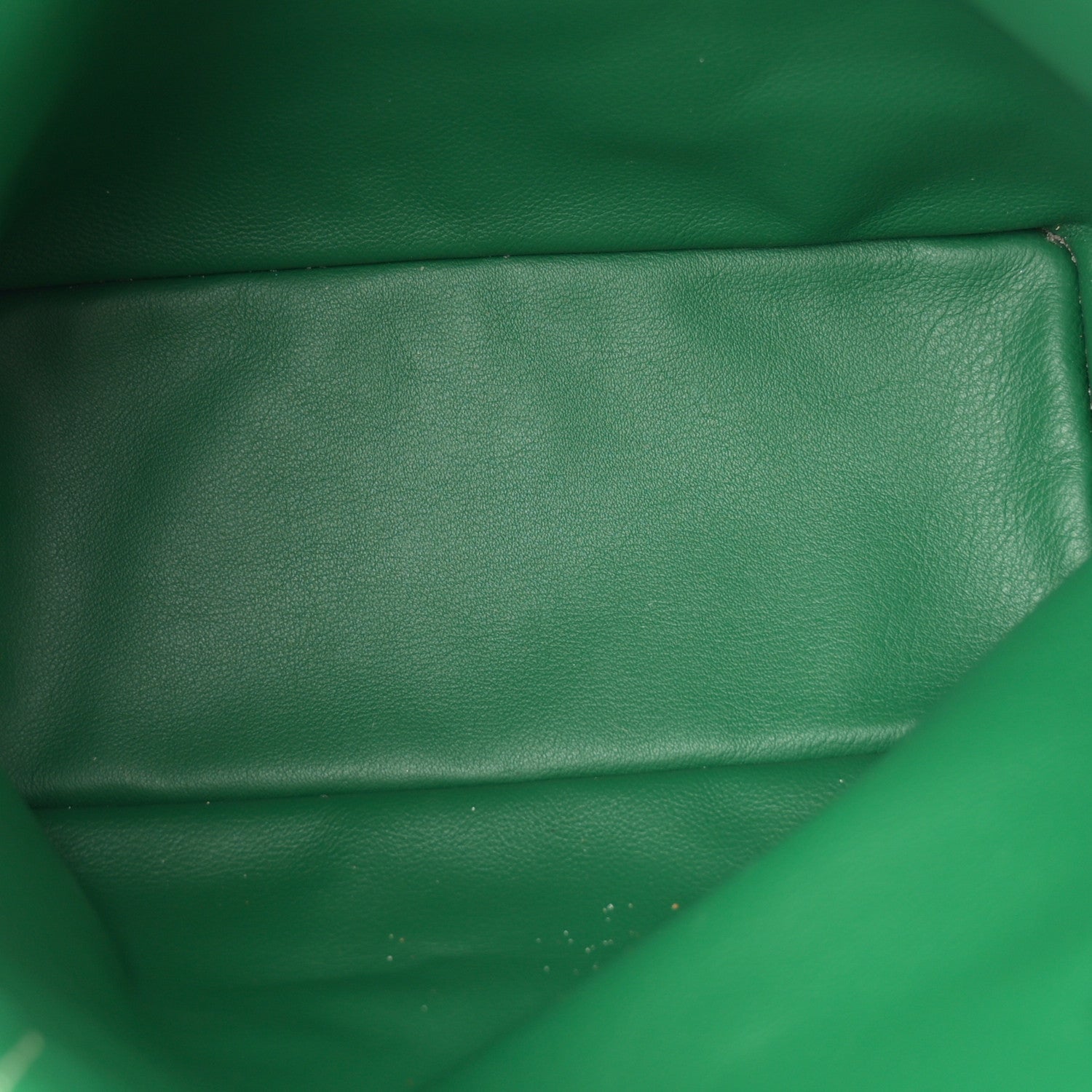 Goyard Goyardine Reversible Mini Anjou Green 9 of 18