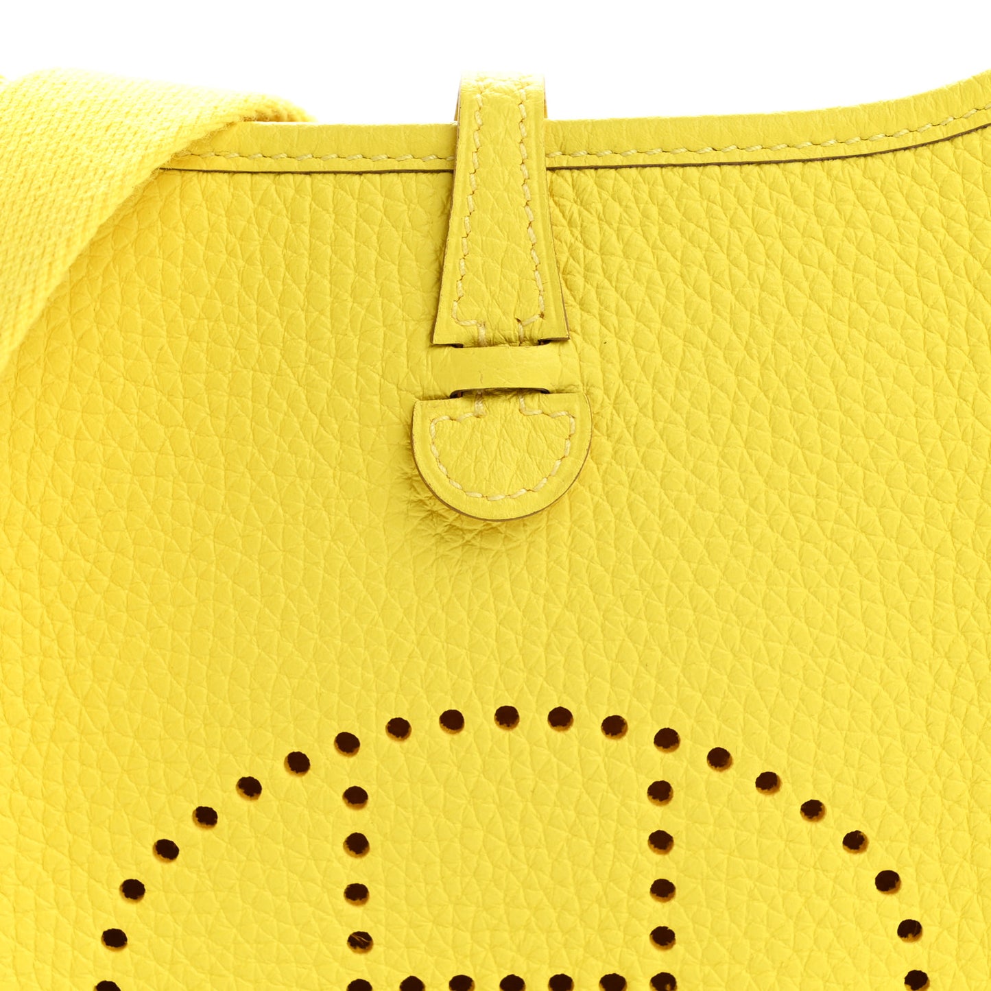 Taurillon Clemence Evelyne TPM Limoncello