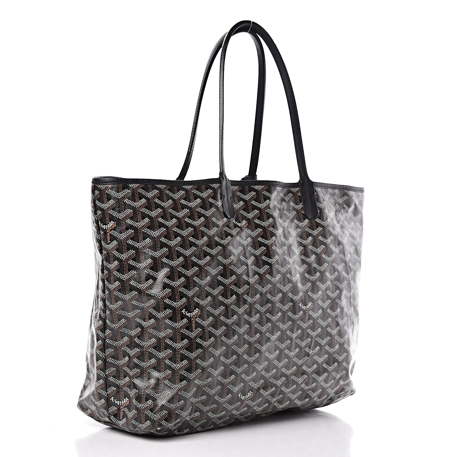 Goyard Goyardine Saint Louis PM Black 4 of 18