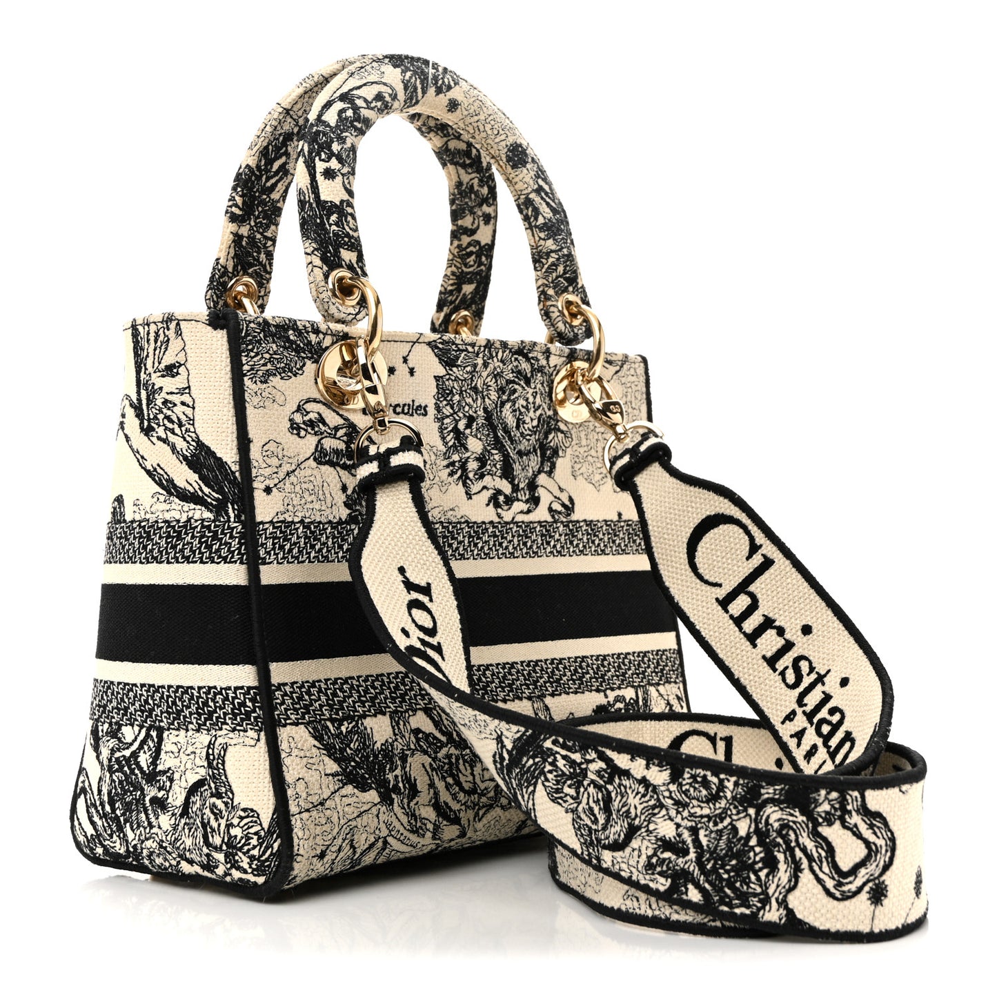 Canvas Embroidered Zodiac Toile De Jouy Medium Lady D-Lite Latte