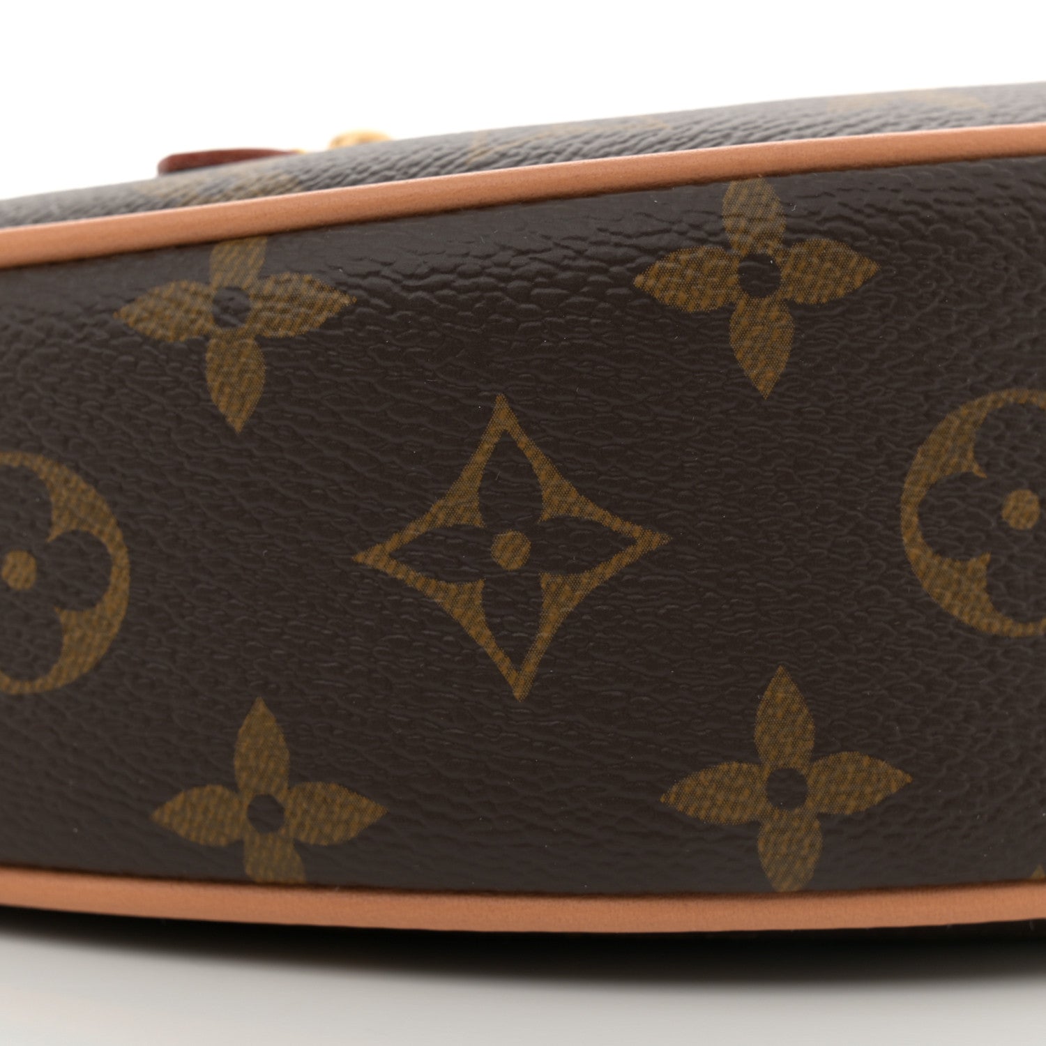 Louis Vuitton Monogram Loop 8 of 9