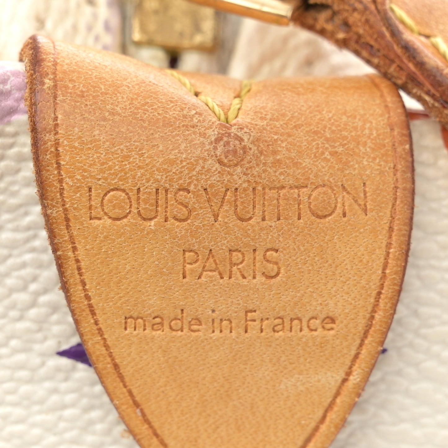Monogram Multicolor Speedy 30 White