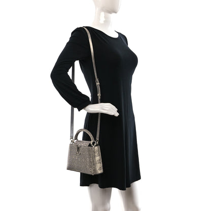 Louis Vuitton Lizard Mini Capucines Argento 2 of 9