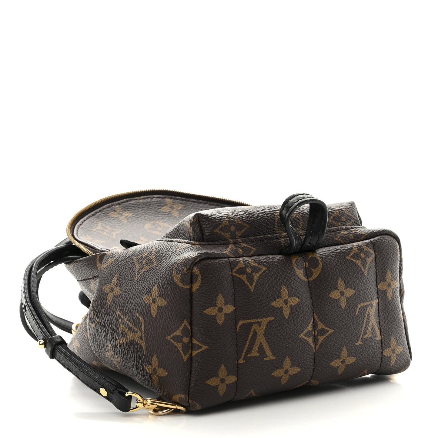 Monogram Palm Springs Backpack Mini