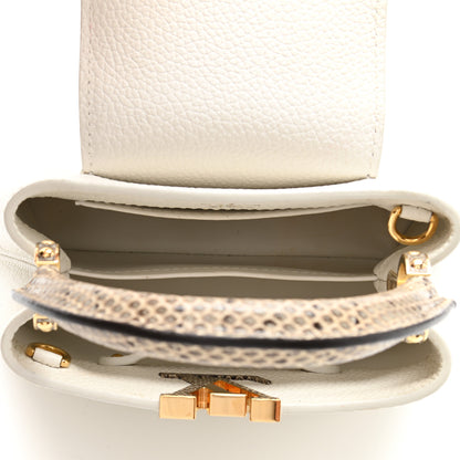 Louis Vuitton Taurillon Ayers Capucines Mini White Snow White 5 of 10