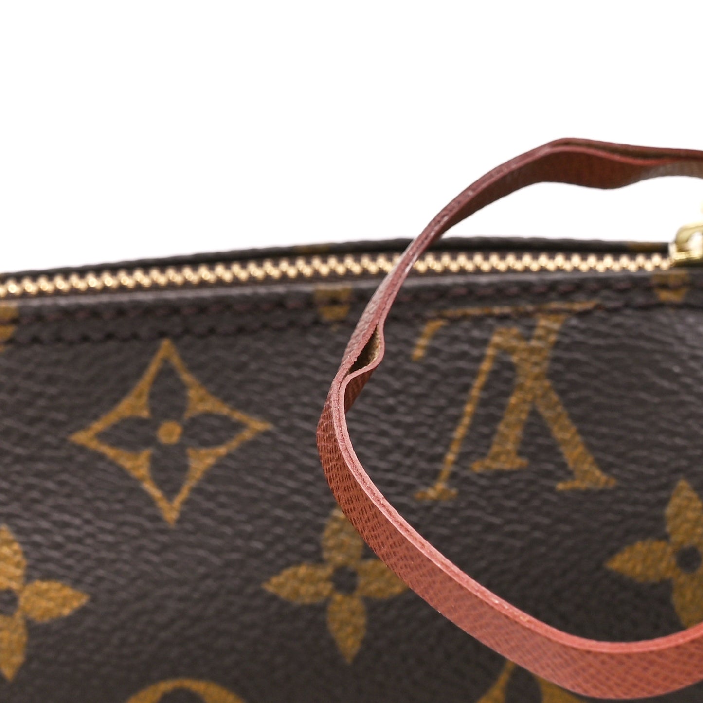 Monogram Papillon 30 with Companion