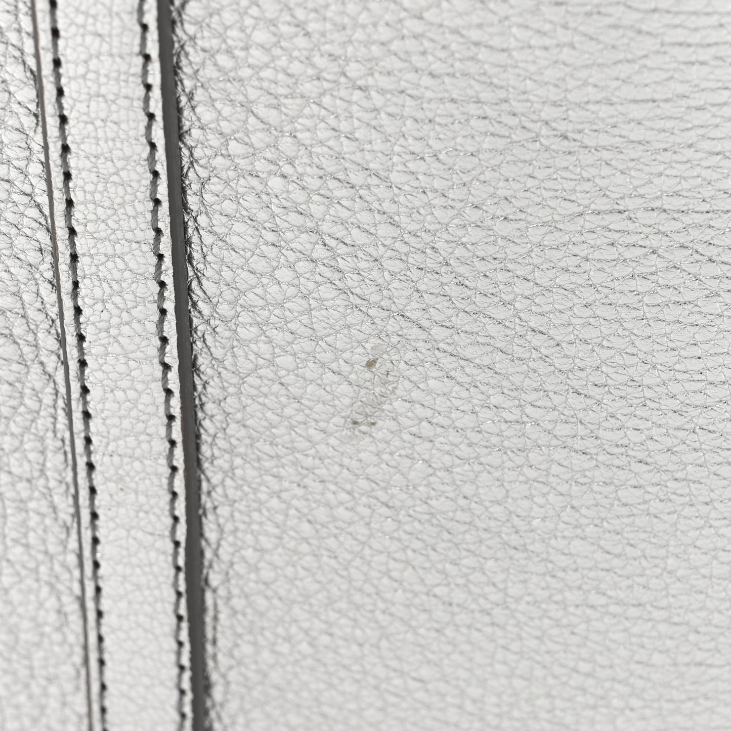 Metallic Goatskin Logo XXS Everyday Tote Argent Black