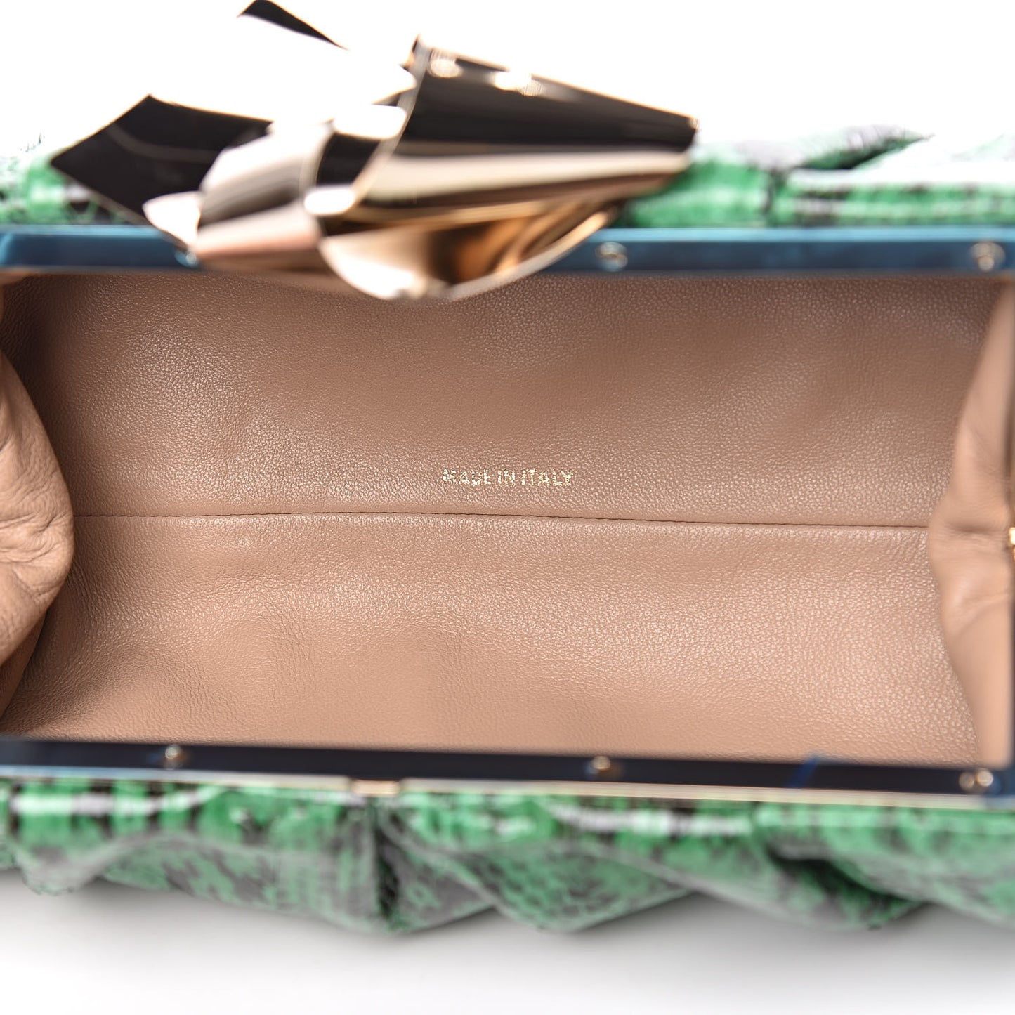 Gloss Elaphe Snakeskin Cara Clutch Kew