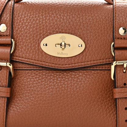 Mulberry Heavy Grain Mini Alexa Chestnut 8 of 10