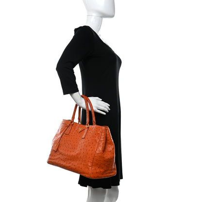 Prada Ostrich Double Zip Tote Papaya 2 of 18