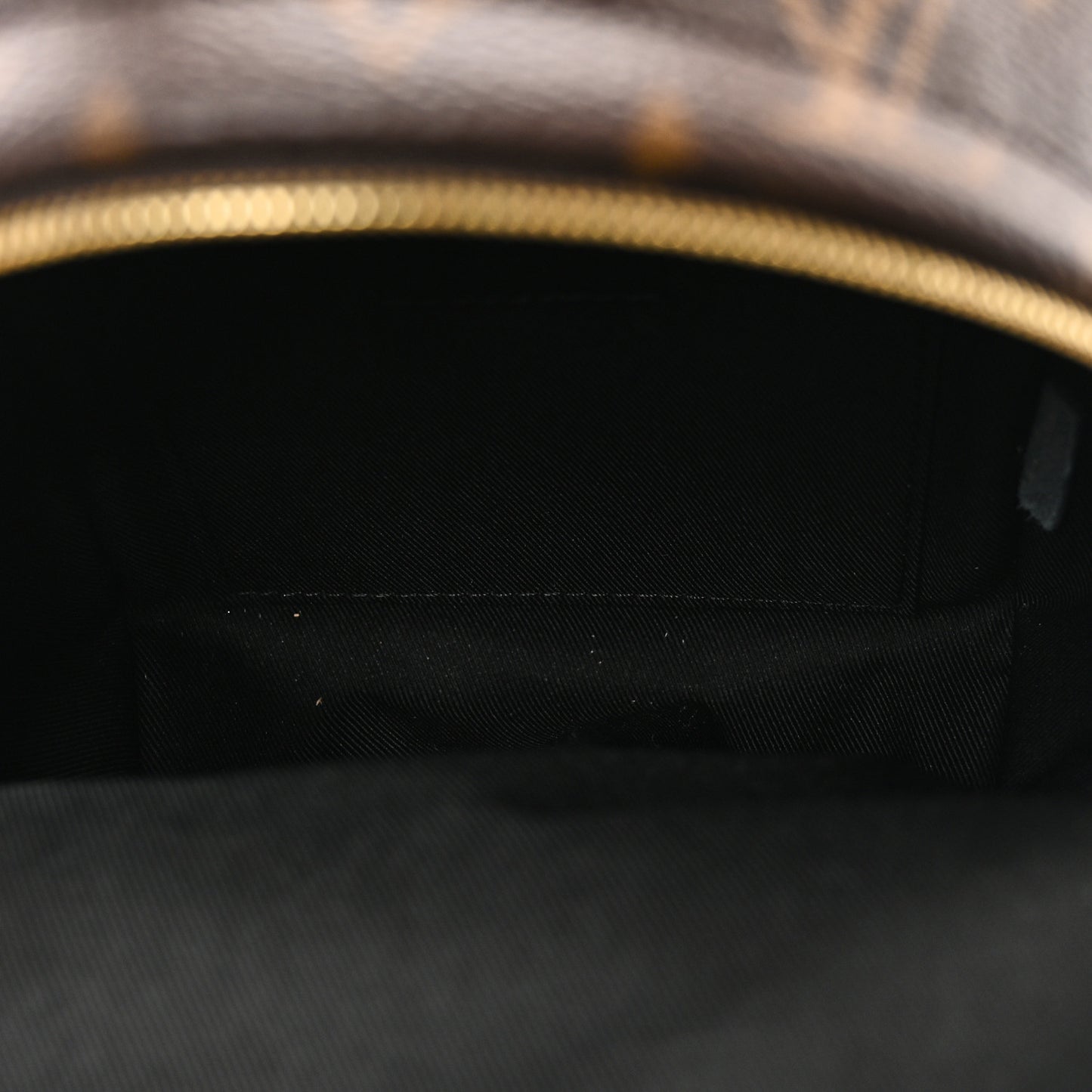 Monogram Palm Springs Backpack Mini