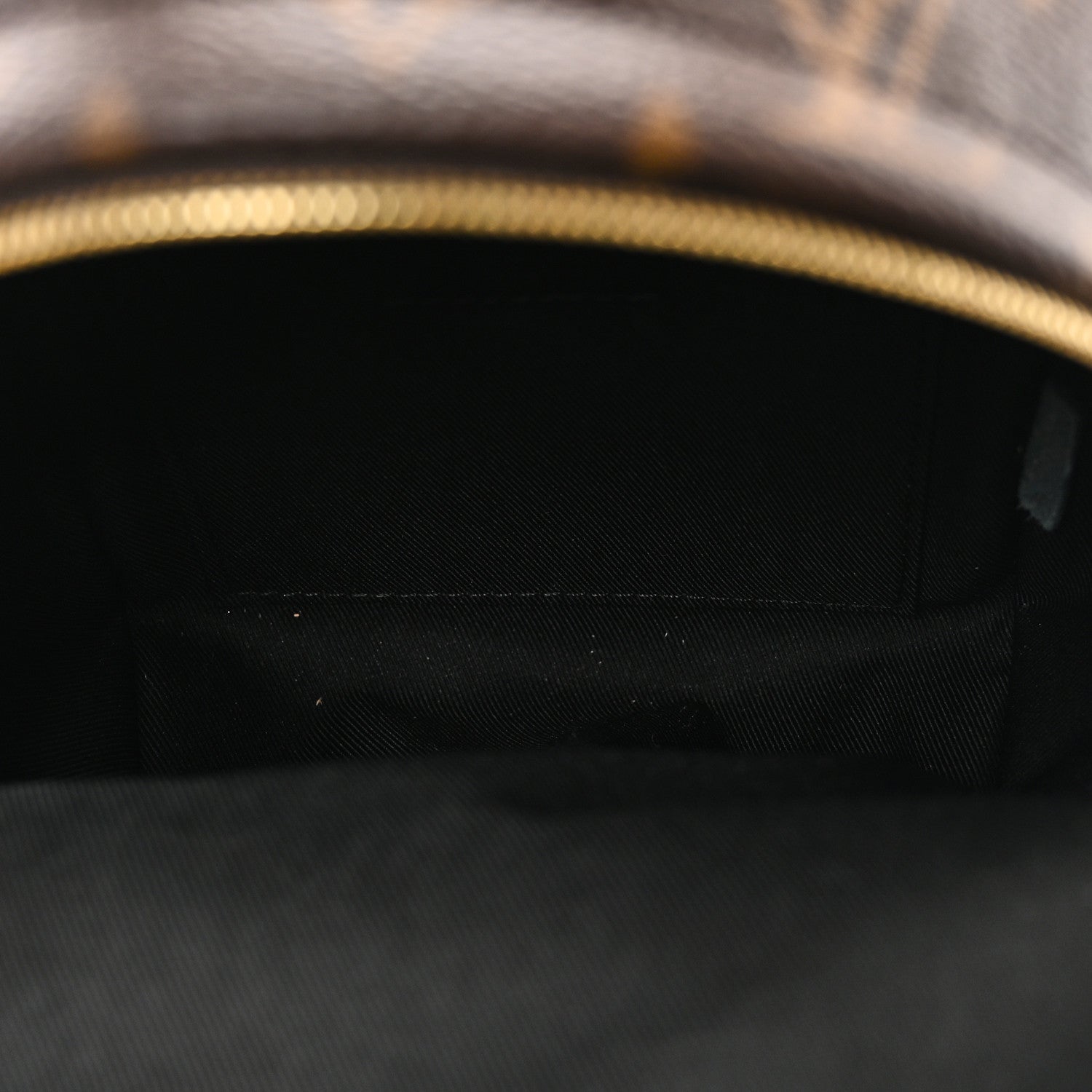 Louis Vuitton Monogram Palm Springs Backpack Mini 5 of 10