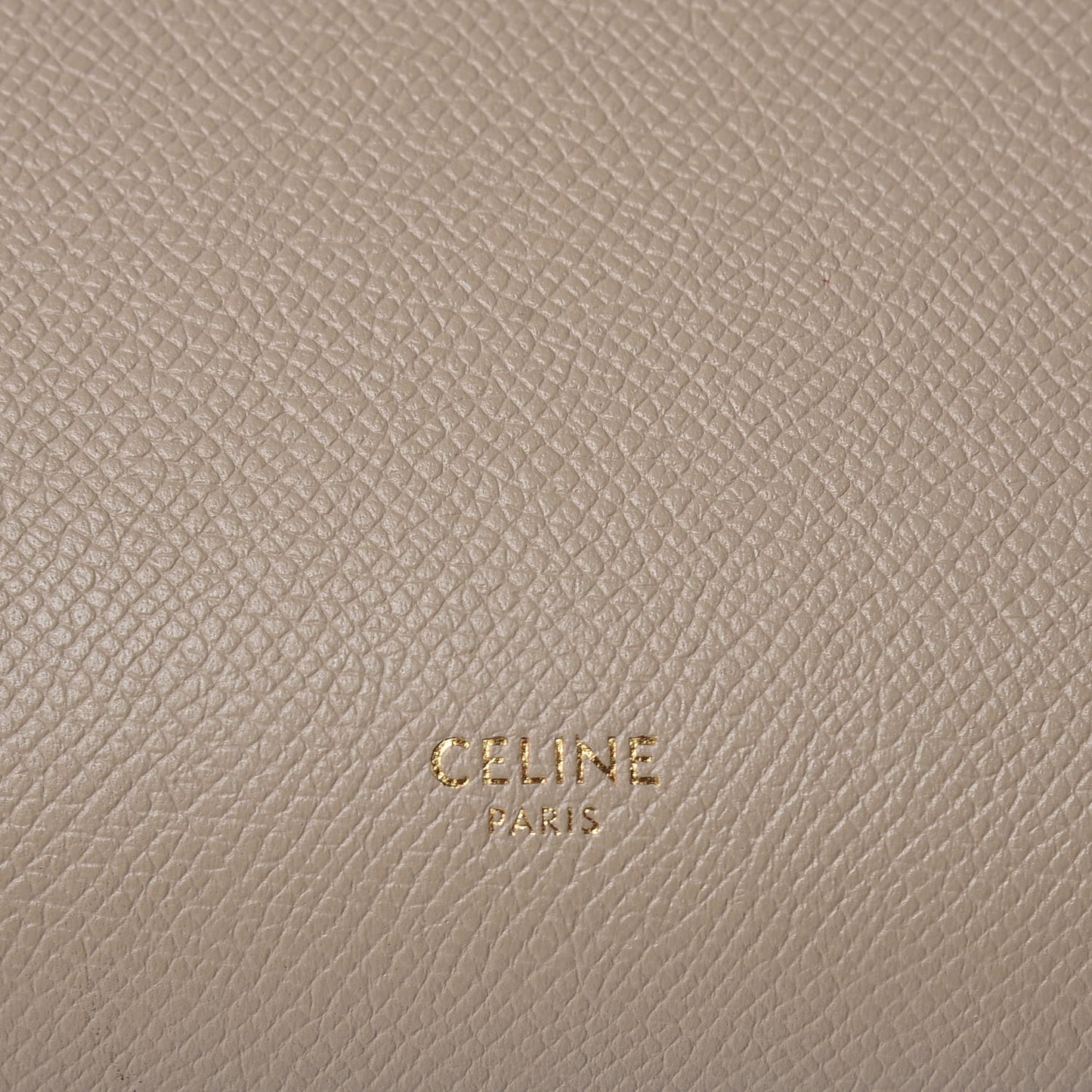 Grained Calfskin Micro Belt Bag Light Taupe