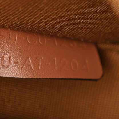 Celine Canvas Calfskin Triomphe Mini Besace Tan 6 of 10