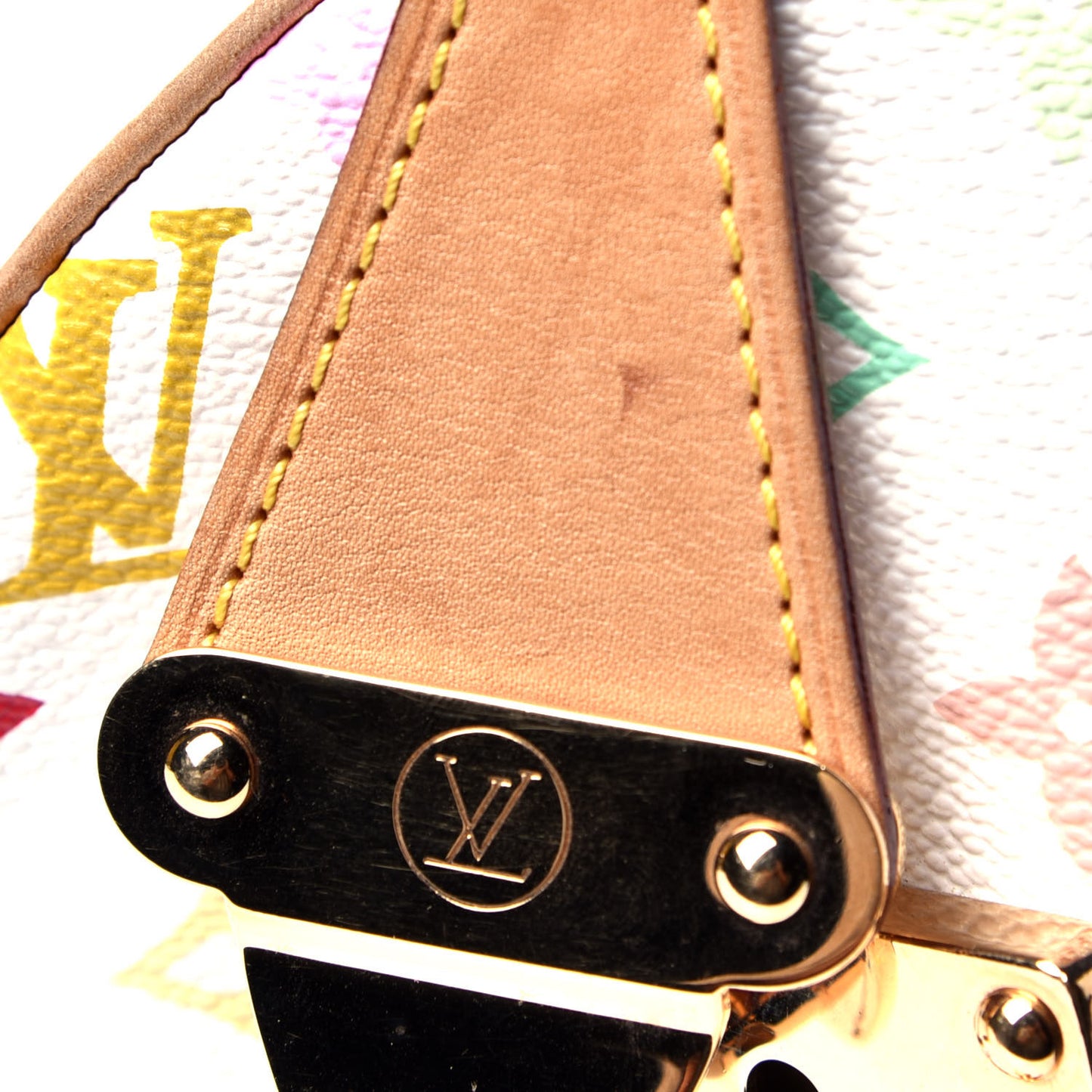 Monogram Multicolor Speedy 30 White