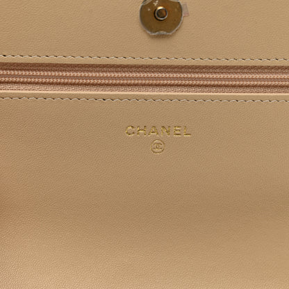 Chanel Lambskin Quilted Chanel 19 Wallet On Chain WOC Beige 7 of 14