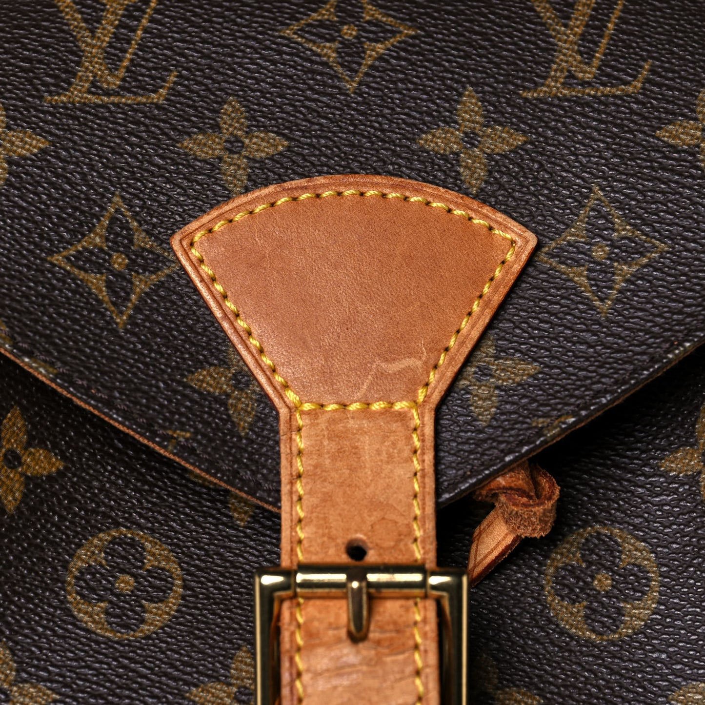 Monogram Montsouris GM Backpack