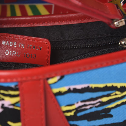 Christian Dior Canvas Bob Marley Saddle Bag Multicolor 7 of 12