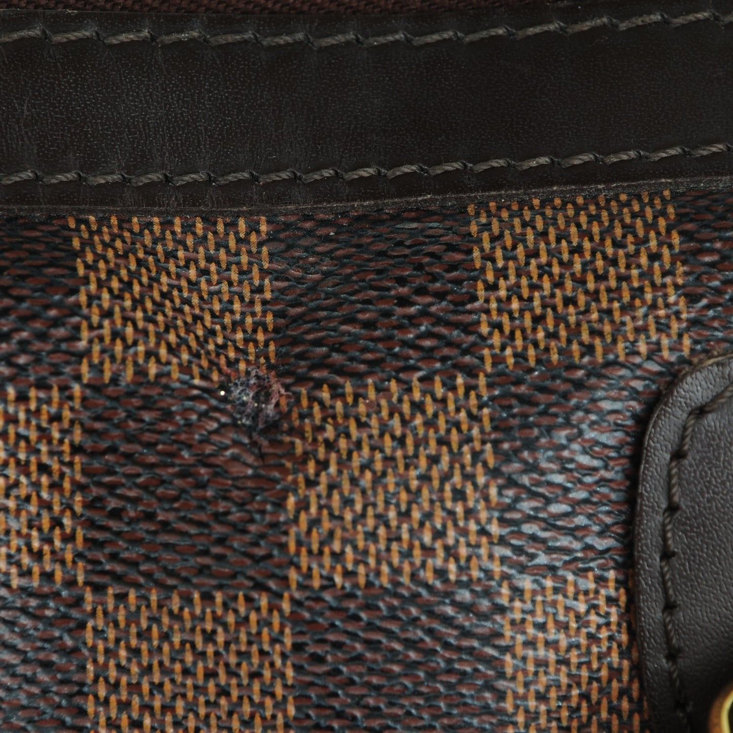 Damier Ebene Berkeley