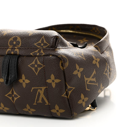Louis Vuitton Monogram Palm Springs Backpack Mini 9 of 9