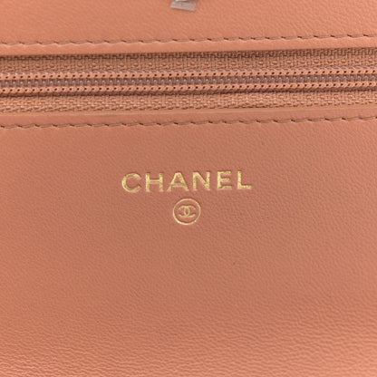 Chanel Lambskin Quilted Chanel 19 Wallet On Chain WOC Brown 6 of 13