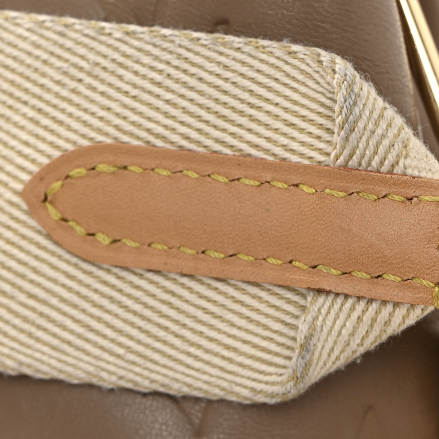 Lambskin Embossed Monogram Coussin MM Taupe