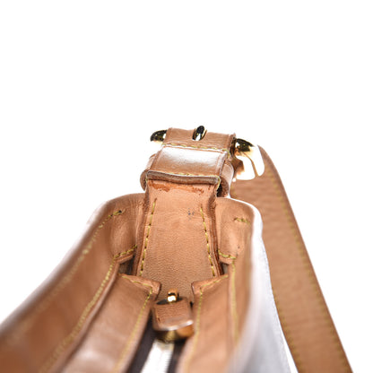 Louis Vuitton Monogram Hudson GM 12 of 17