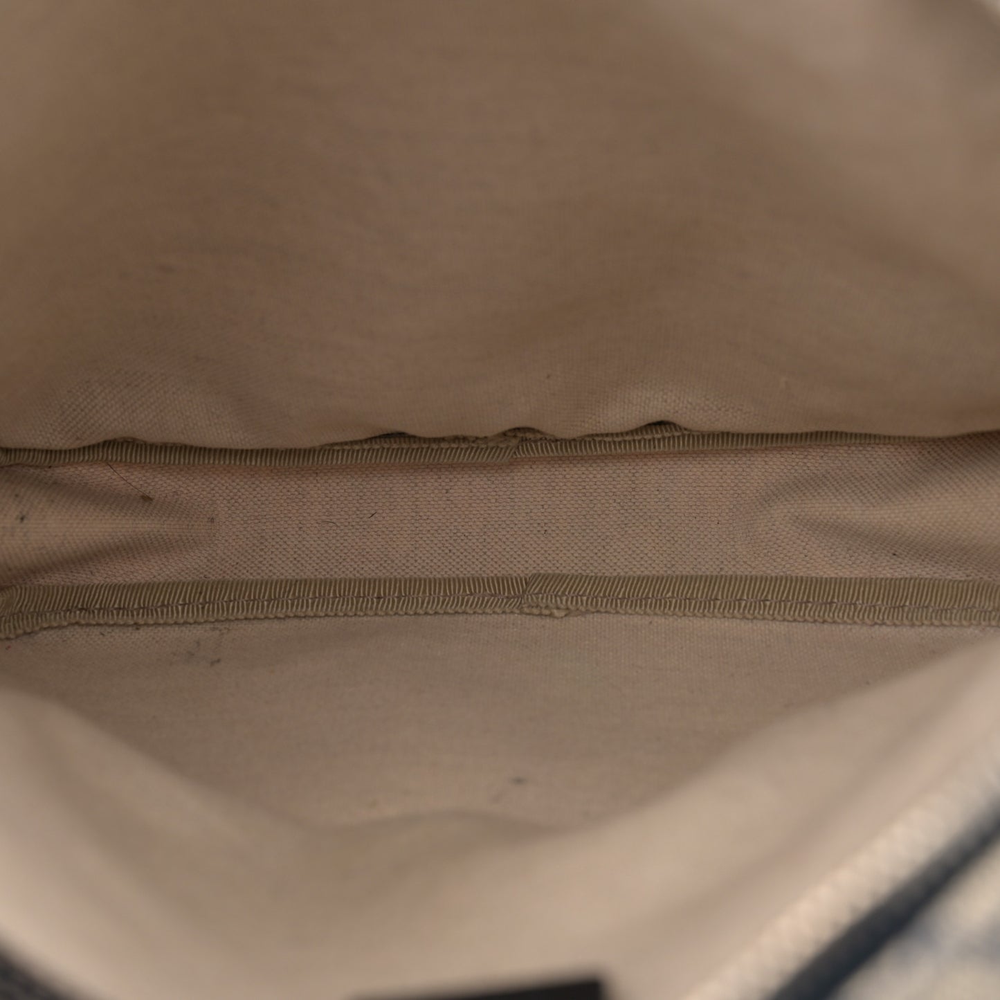 GG Plus Monogram Selleria Calfskin Medium Messenger Bag Beige Blue