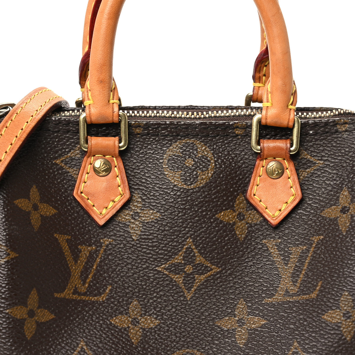 Monogram Nano Speedy