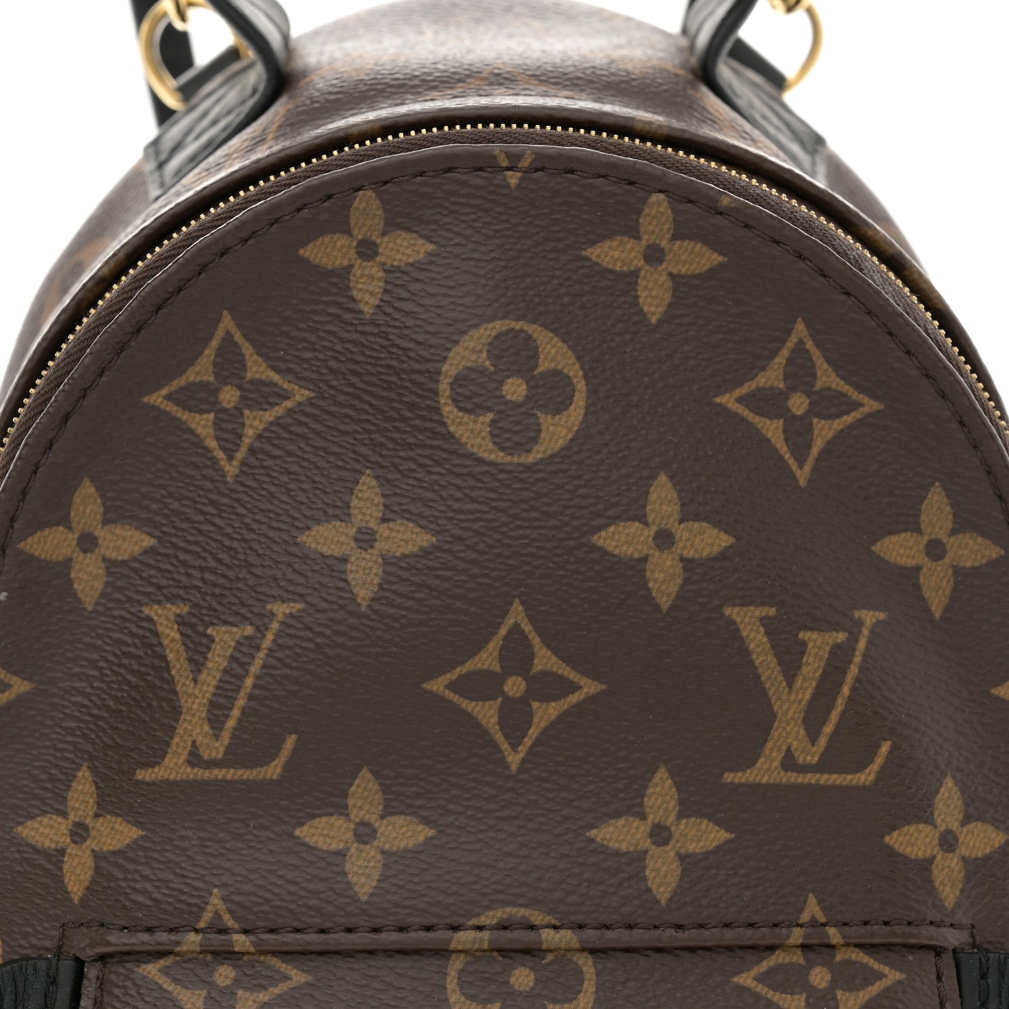 Monogram Palm Springs Backpack Mini