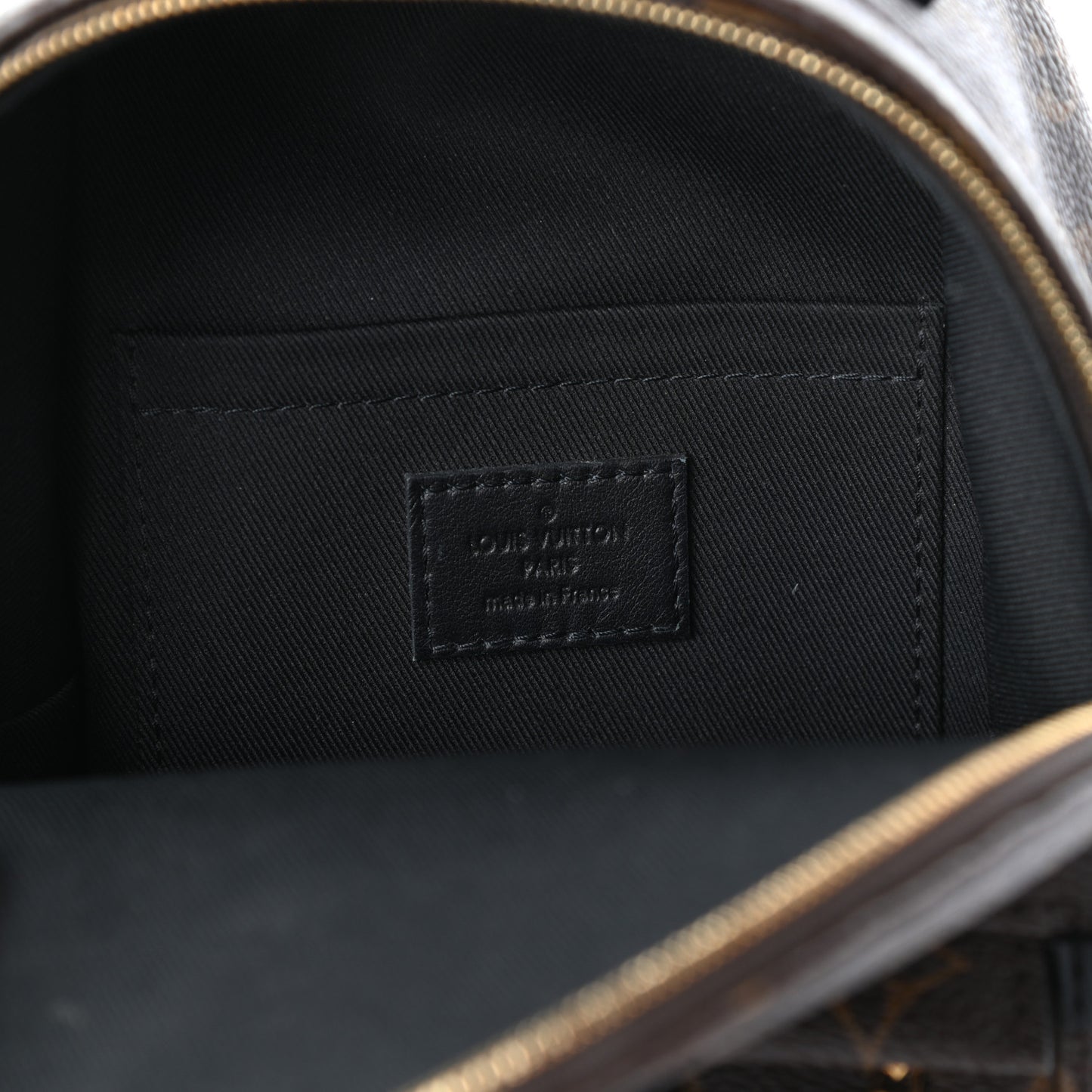 Monogram Palm Springs Backpack Mini