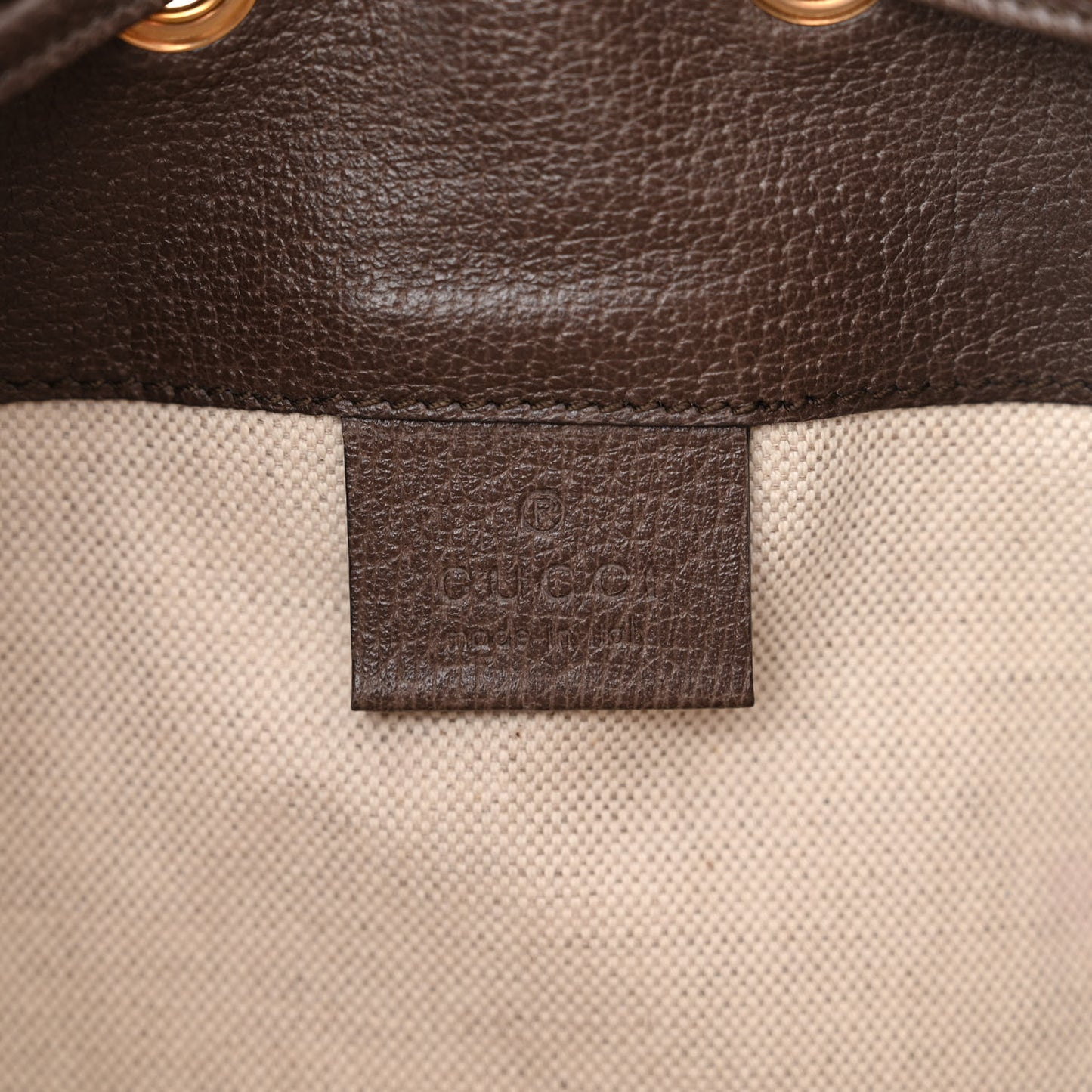 GG Supreme Monogram Web Ophidia Bucket Bag Brown