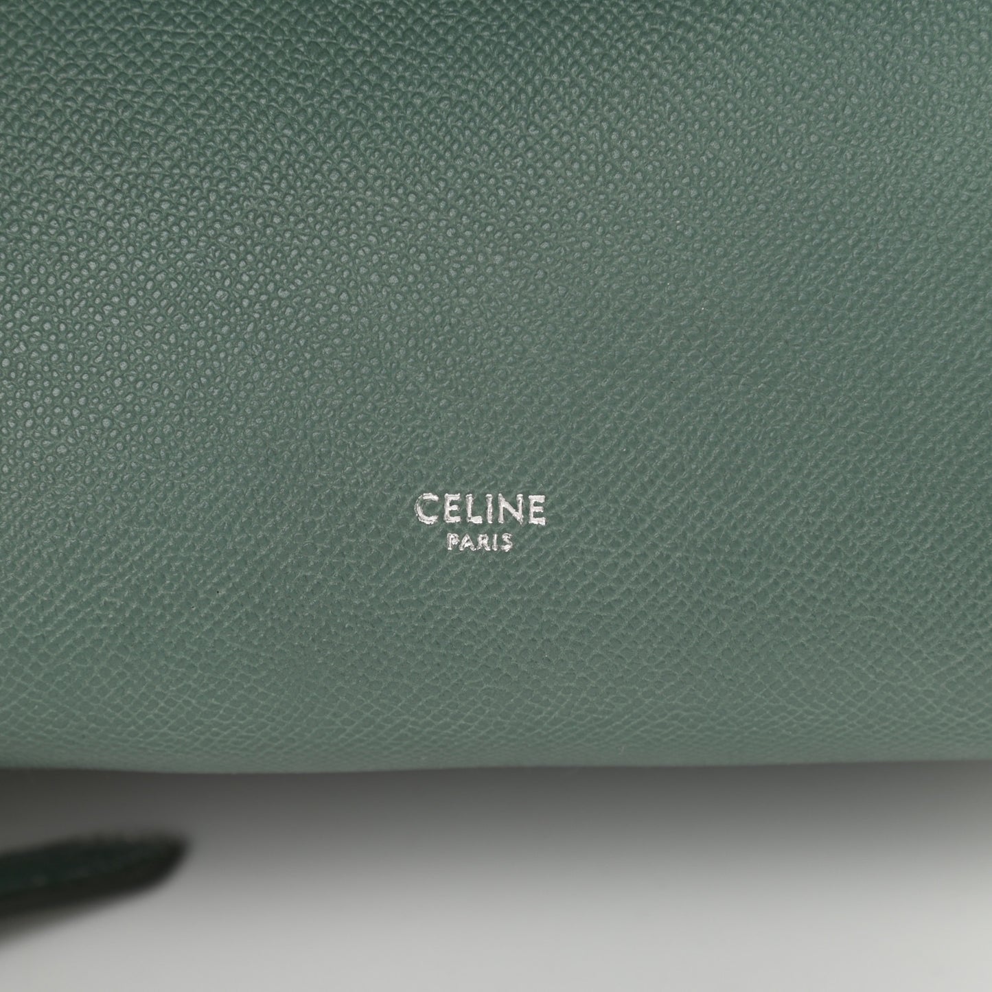 Grained Calfskin Micro Belt Bag Celadon