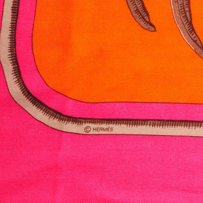 Hermes Cashmere Silk Tigre Royal Shawl 140 4 of 5