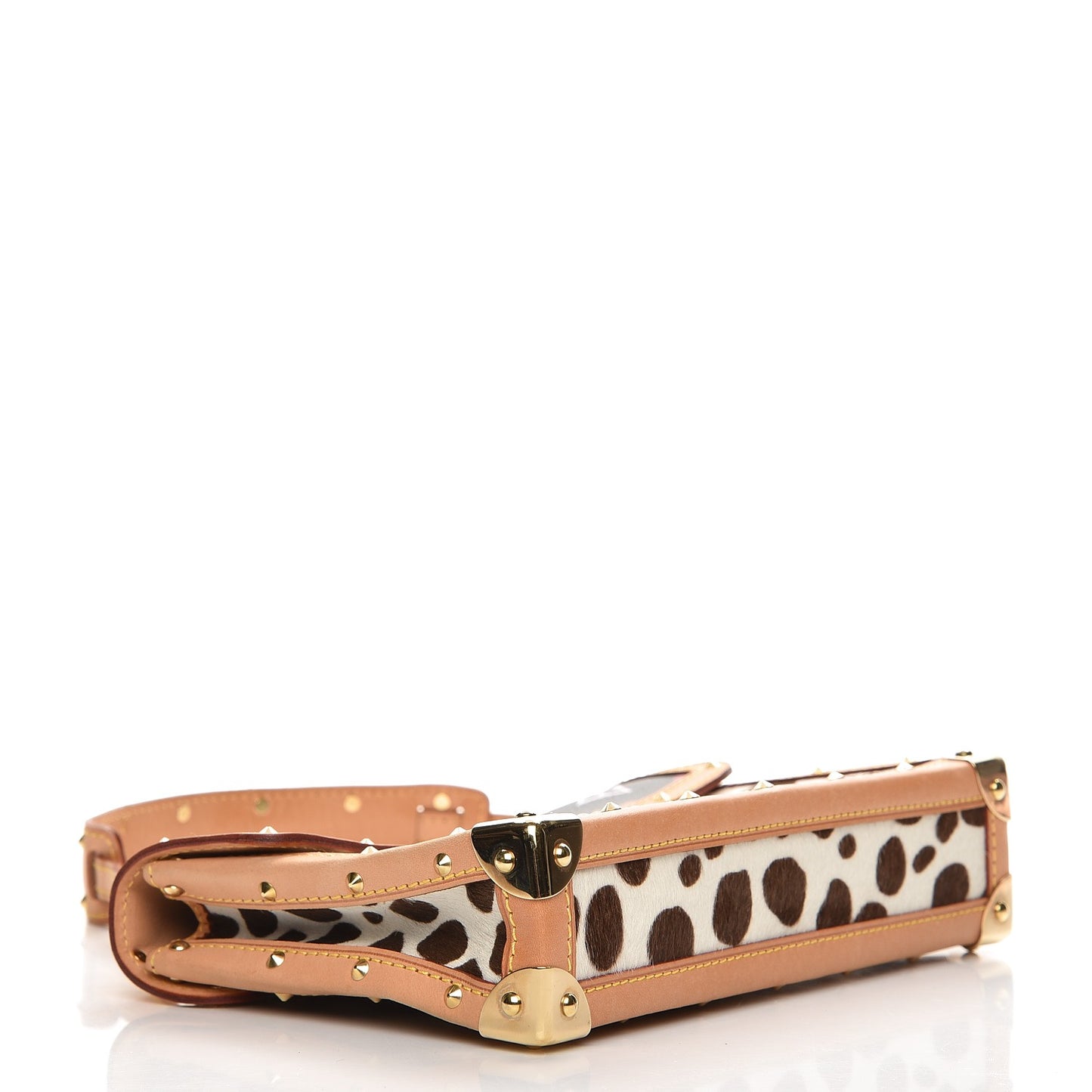 Monogram Multicolor Dalmatian Pochette
