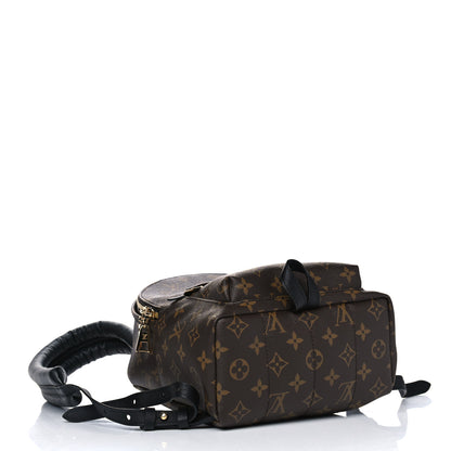 Louis Vuitton Monogram Palm Springs Backpack PM 3 of 4