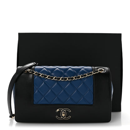 Chanel Sheepskin Quilted Vintage Mademoiselle Flap Blue Black 16 of 16