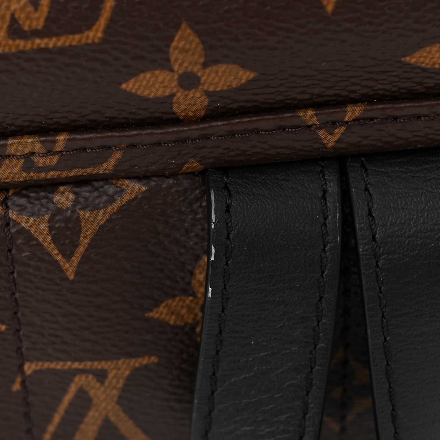 Monogram Palm Springs Backpack MM