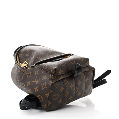 Louis Vuitton Monogram Palm Springs Backpack PM 4 of 10