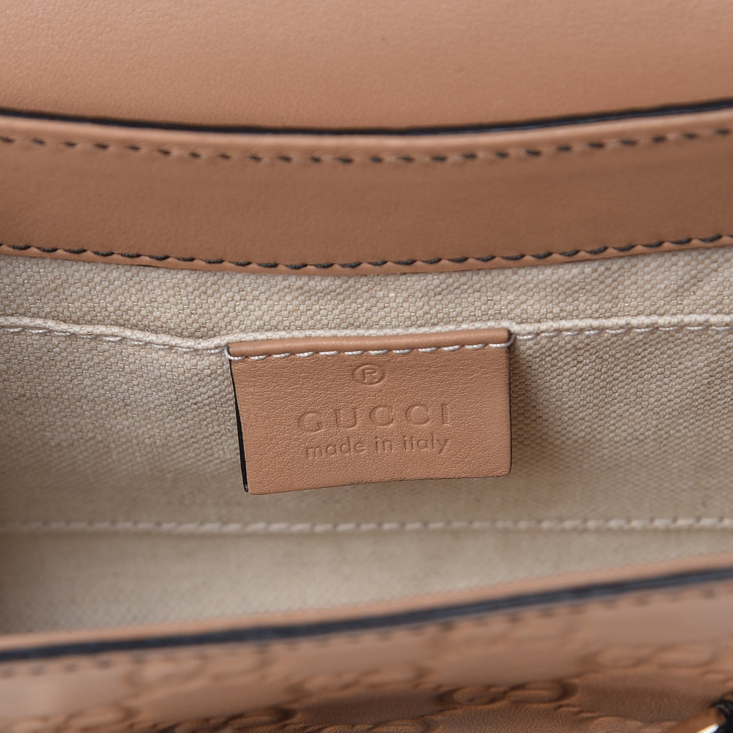 Guccissima Mini Emily Chain Shoulder Bag Camelia
