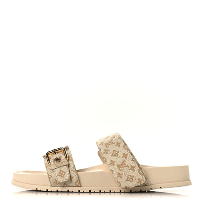 Louis Vuitton Monogram Lurex Bom Dia Flat Comfort Mules 40 Beige 1 of 9