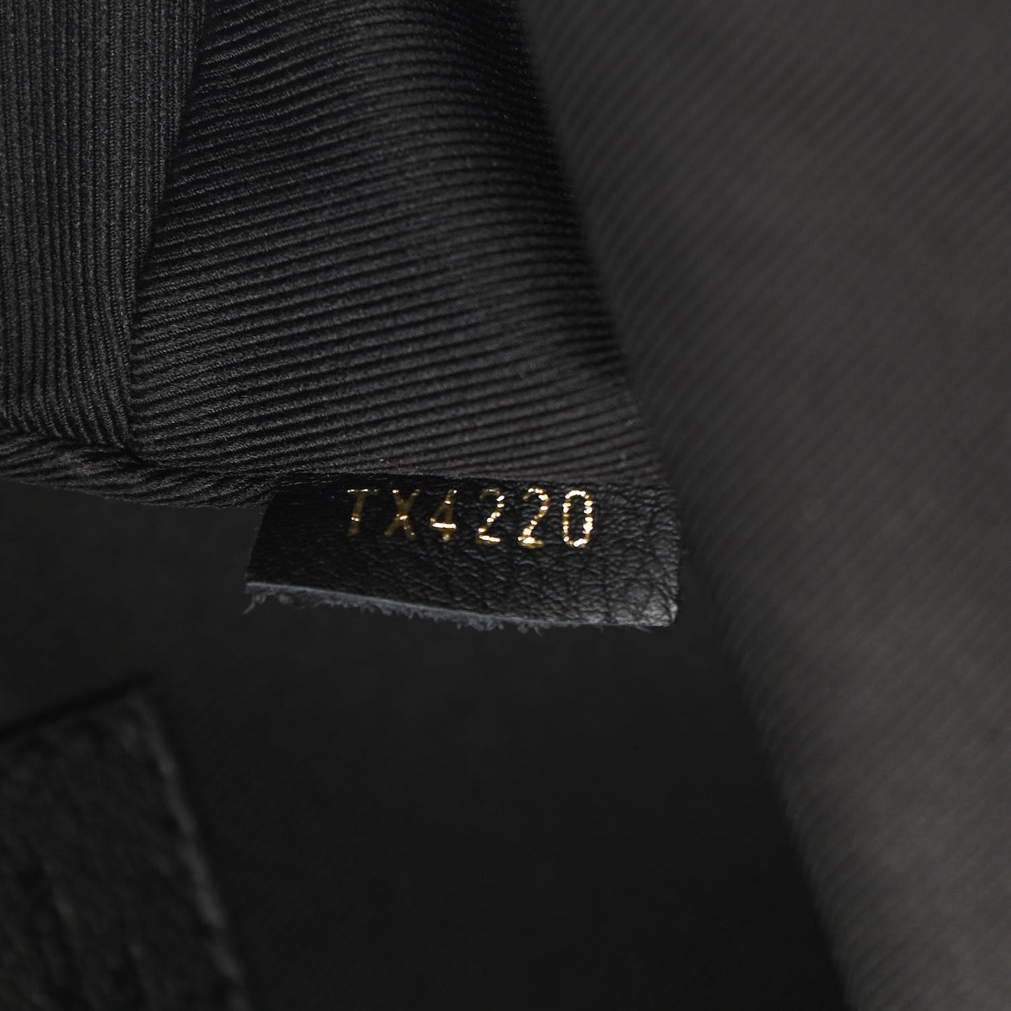 Reverse Monogram Palm Springs Backpack Mini