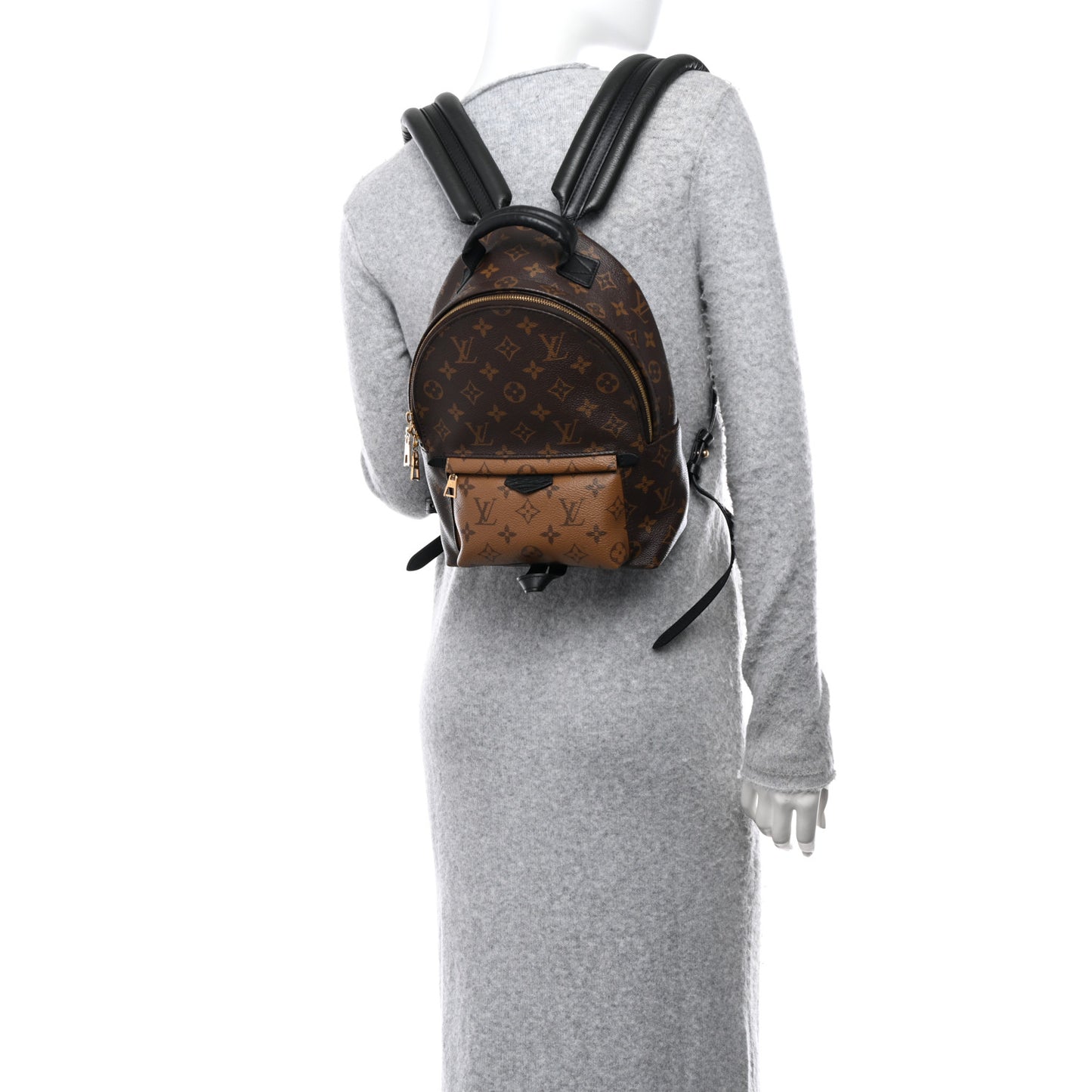 LOUIS VUITTON Reverse Monogram Palm Springs Backpack PM