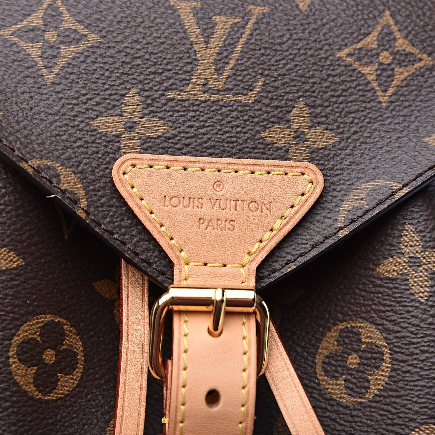 Monogram Montsouris NM Backpack