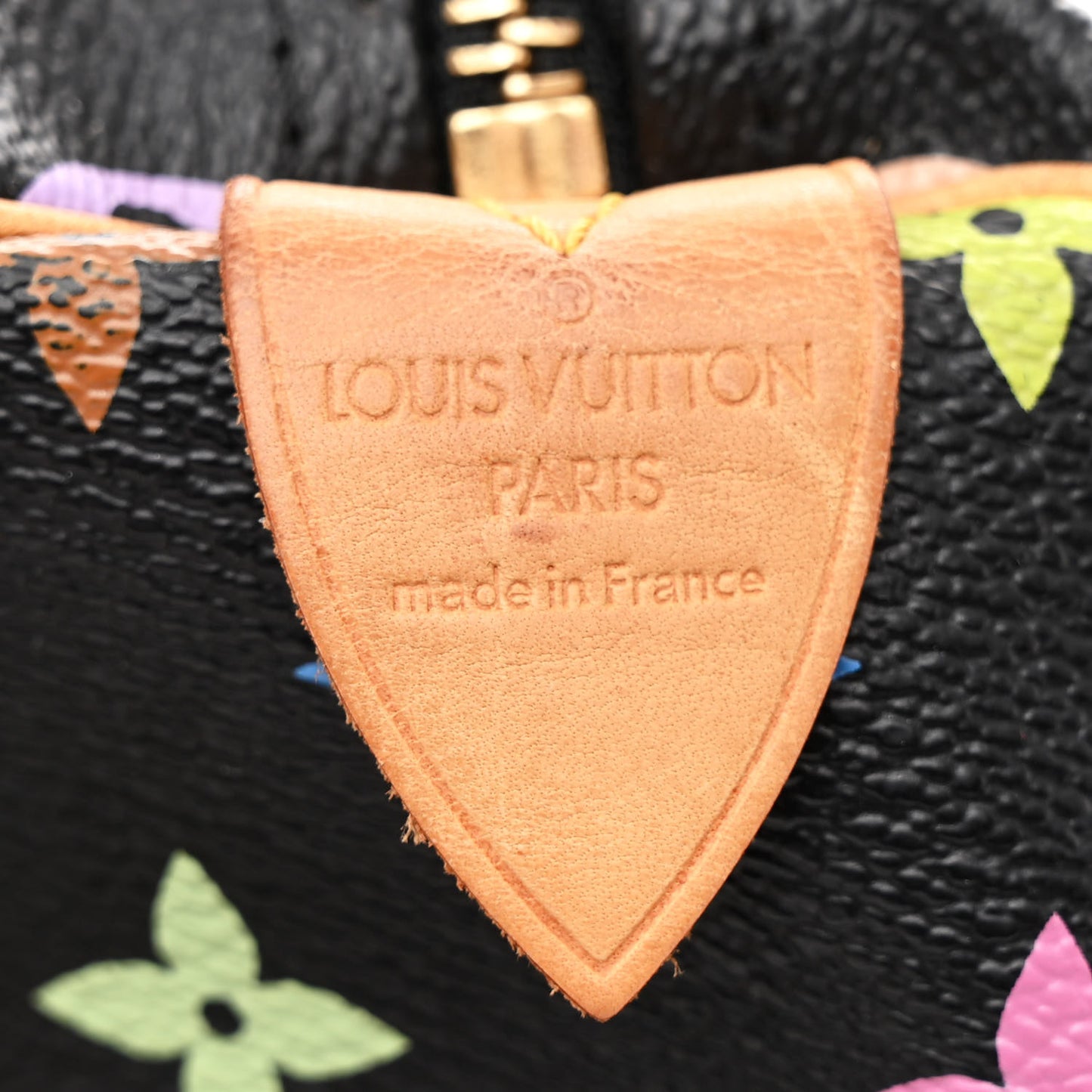 Monogram Multicolor Speedy 30 Black