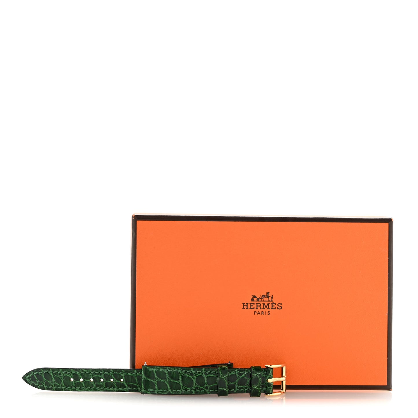 Shiny Alligator Watch Strap Vert Moyen