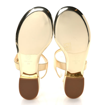 Chanel Laminated Lambskin CC Leaf Thong Sandals 39 Golden 5 of 8