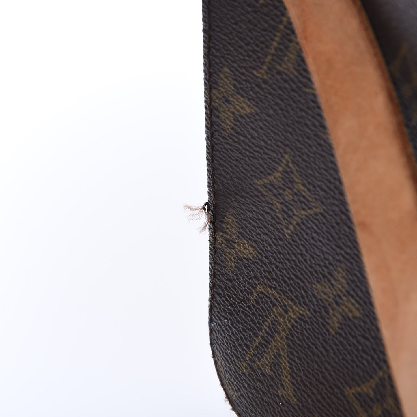 Monogram Cartouchiere 22